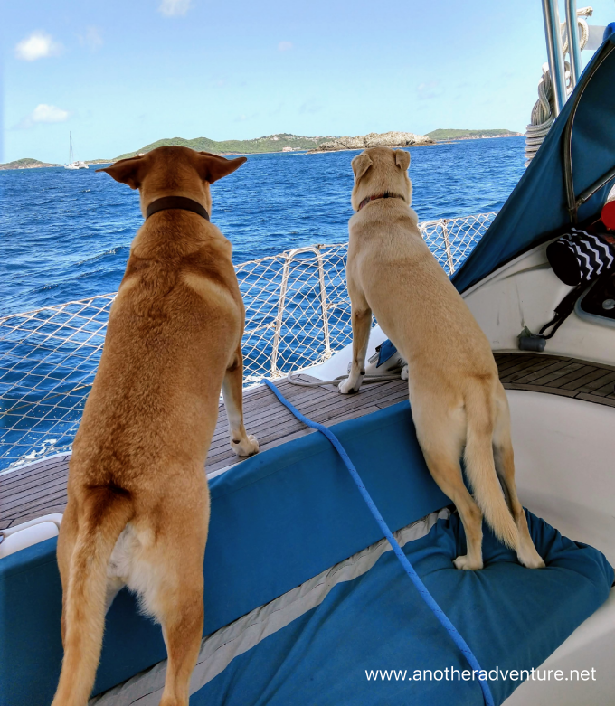 Izzy and Sadie sailing