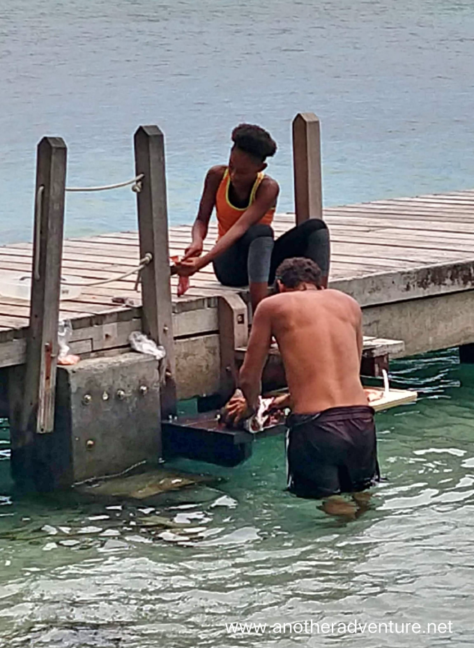 fisherman cleaning their catch