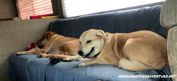 Girls enjoying the new RV