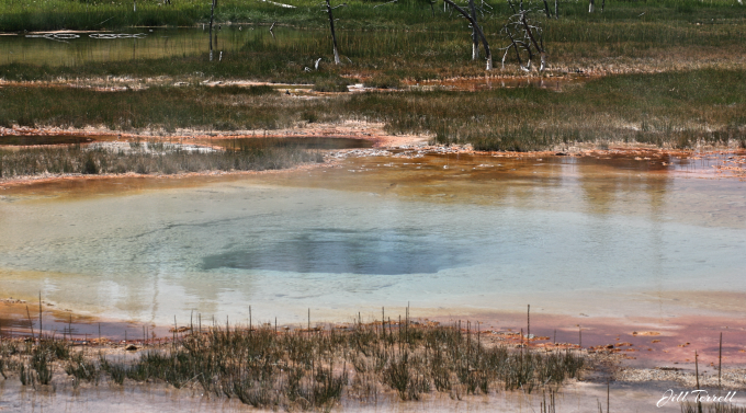 Yellowstone12