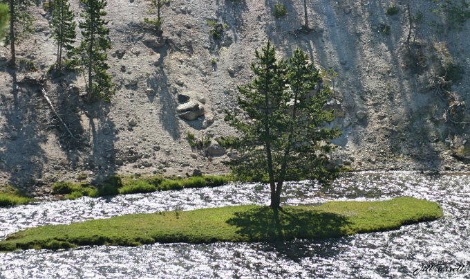 Yellowstone2D1