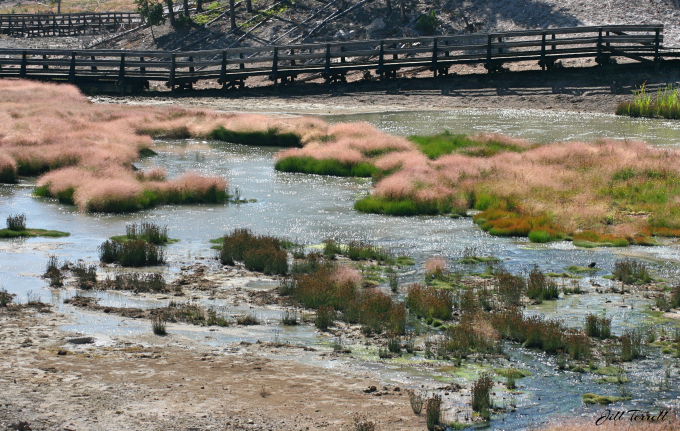 Yellowstone2d11