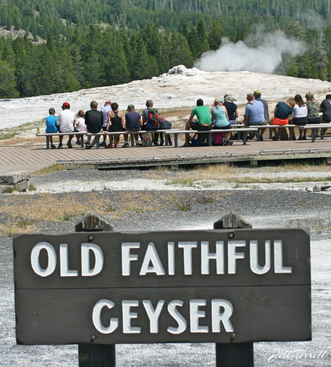 Yellowstone6