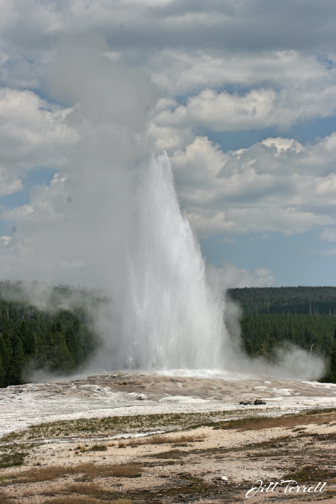 Yellowstone7