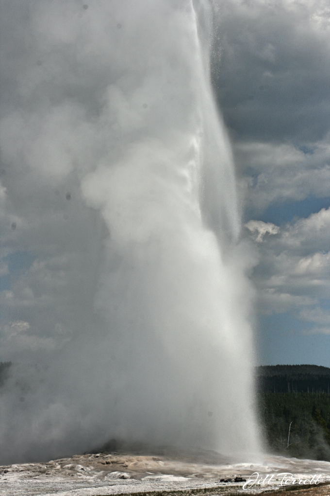 Yellowstone8